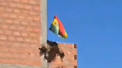 biocidio de un zorro andino hallado en Cochabamba
