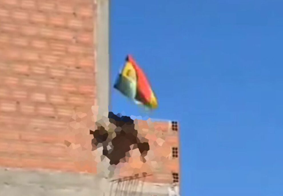 biocidio de un zorro andino hallado en Cochabamba