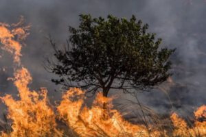 Incendio Ñembi Guasu en Bolivia