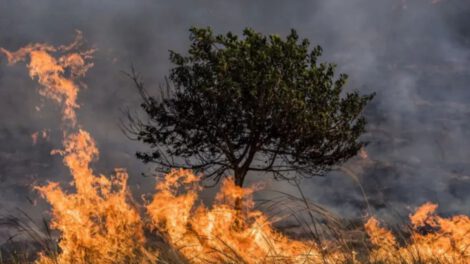 Incendio Ñembi Guasu en Bolivia