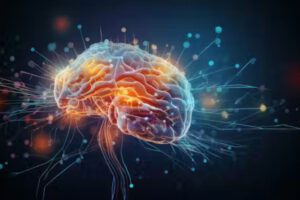 Mapa neuronal revela cómo tomamos decisiones complejas