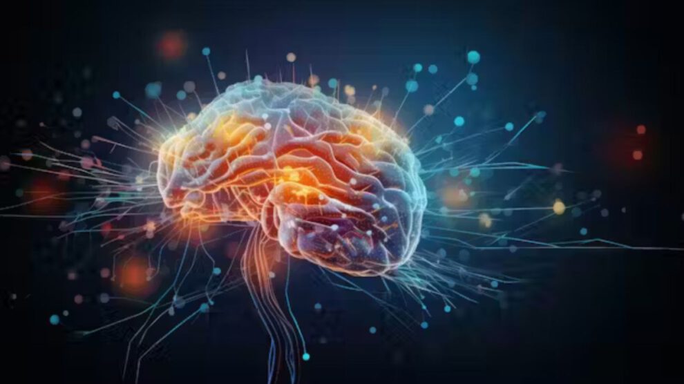 Mapa neuronal revela cómo tomamos decisiones complejas