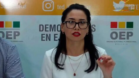 Yajaira San Martín como presidenta interina del TSE