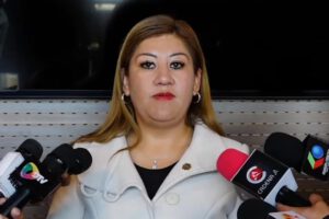 Ley de protección a menores promovida por la diputada Magalí Gómez