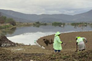 Laguna Alalay cristalina tras retiro de macrófitas