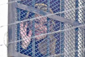 libertad de Jeanine Añez en el caso Sacaba