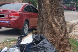 Cuerpo de un bebé encontrado entre la basura en Santa Cruz