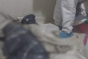 Mafias de Europa del Este en Bolivia