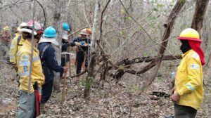 Extinción del incendio en Ñembi Guasu