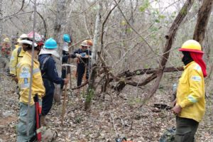 Extinción del incendio en Ñembi Guasu