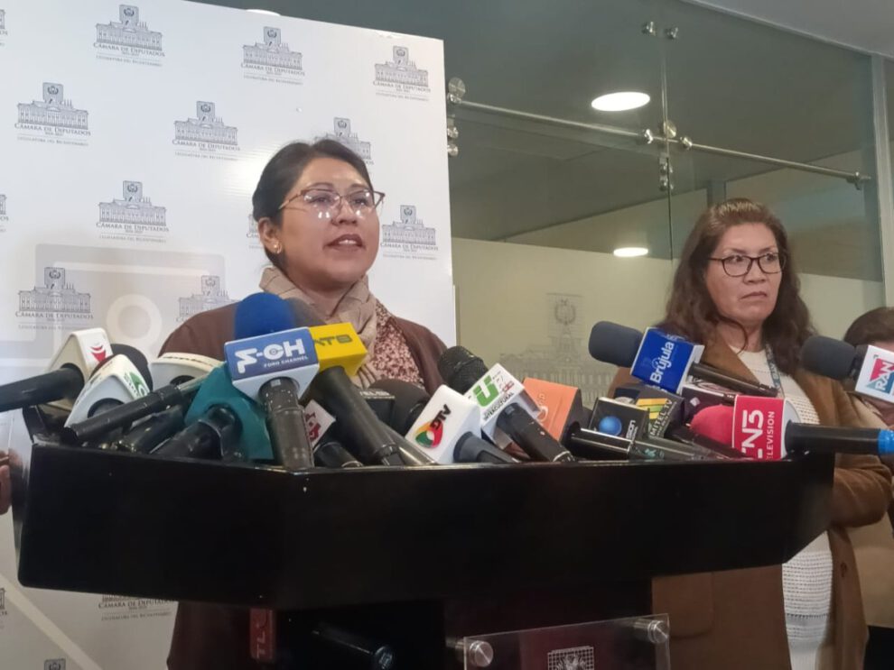 autoprórroga vocales electorales