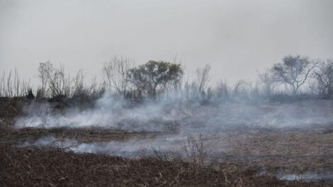 Incendios forestales en Bolivia