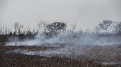 Incendios forestales en Santa Cruz