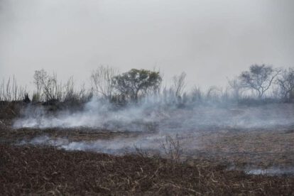Incendios forestales en Santa Cruz