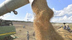 Déficit comercial en Bolivia