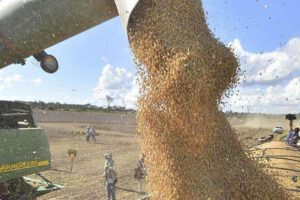 Déficit comercial en Bolivia