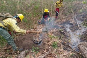 Incendios en Santa Cruz
