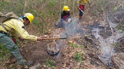 Incendios en Santa Cruz