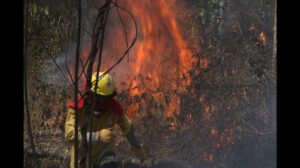Incendios activos en Santa Cruz