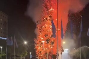 Pino histórico de Cochabamba se quema durante festejos por victoria de la selección