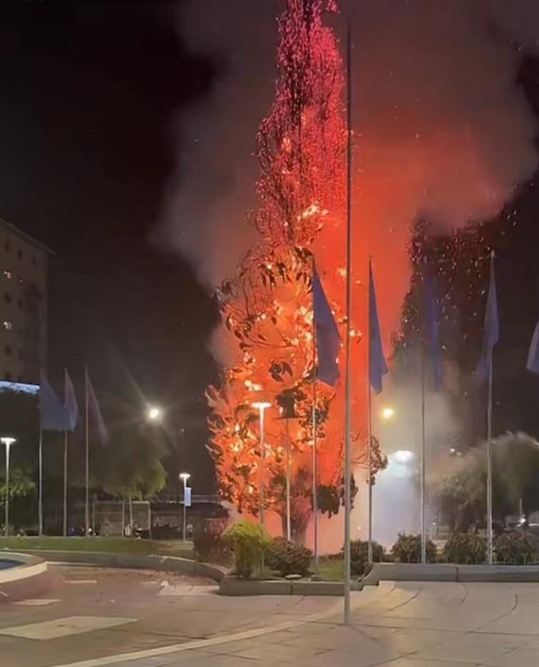 Pino histórico de Cochabamba se quema durante festejos por victoria de la selección