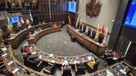 Cámara de Senadores aprueba ascensos militares y policiales