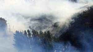 Incendio forestal en Colomi controlado gracias a rápida intervención
