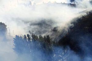 Incendio forestal en Colomi controlado gracias a rápida intervención