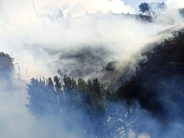 Incendio forestal en Colomi controlado gracias a rápida intervención