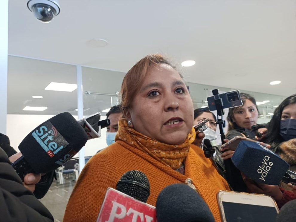 diferimiento de créditos propuesto por la diputada Soledad Pérez