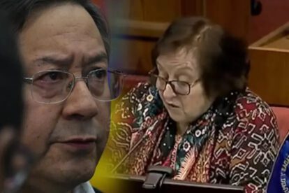 Luis Arce condena declaraciones de diputada chilena María Luisa Cordero