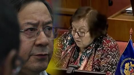 Luis Arce condena declaraciones de diputada chilena María Luisa Cordero
