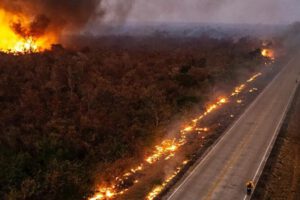 Incendio en Concepción, Santa Cruz, el 2024