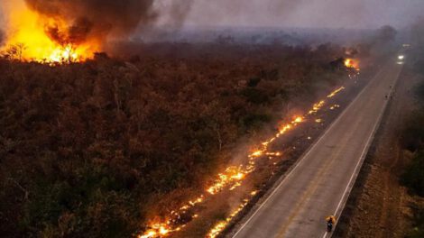 Incendio en Concepción, Santa Cruz, el 2024