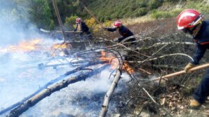 Incendios forestales en Bolivia siendo sofocados por Defensa Civil