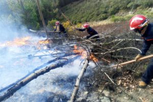 Incendios forestales en Bolivia siendo sofocados por Defensa Civil