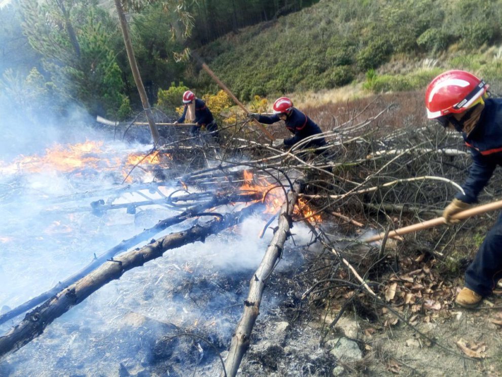 Incendios forestales en Bolivia siendo sofocados por Defensa Civil