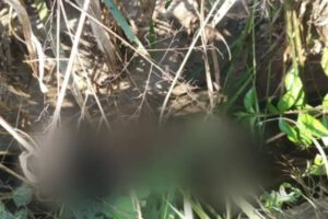 Menor desaparecida en Senda VI hallada sin vida