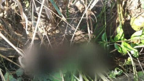 Menor desaparecida en Senda VI hallada sin vida