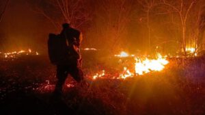 Incendios forestales en Santa Cruz