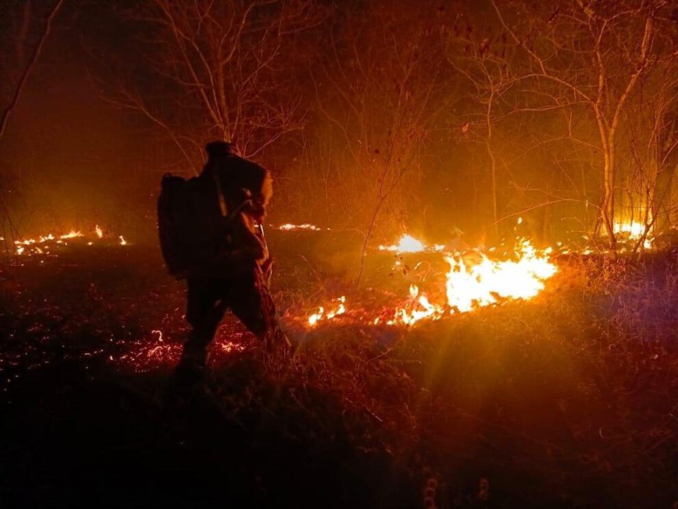 Incendios forestales en Santa Cruz