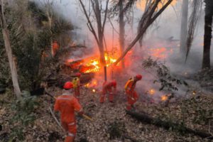 Helicóptero francés en Bolivia para combatir incendios forestales