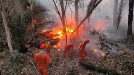 Helicóptero francés en Bolivia para combatir incendios forestales