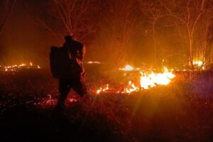 Bomberos Voluntarios exigen reglamentación de ley para evitar subordinación gubernamental