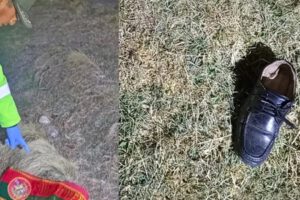 Atropello en Omasuyos