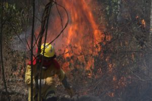 Incendios forestales en Beni y Santa Cruz