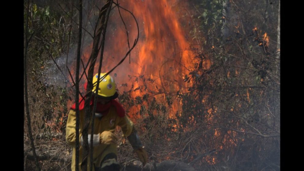 Incendios forestales en Beni y Santa Cruz