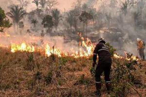 Lucha contra incendios forestales