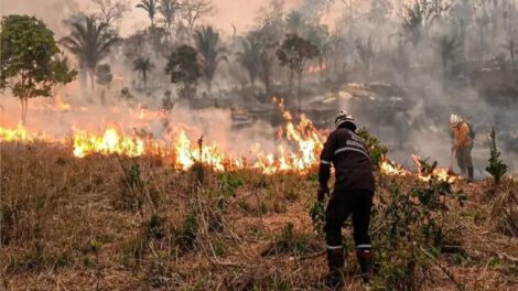 Lucha contra incendios forestales