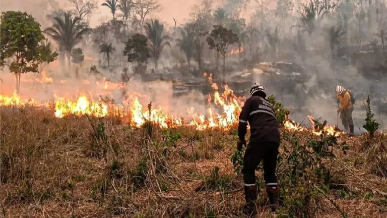 Lucha contra incendios forestales